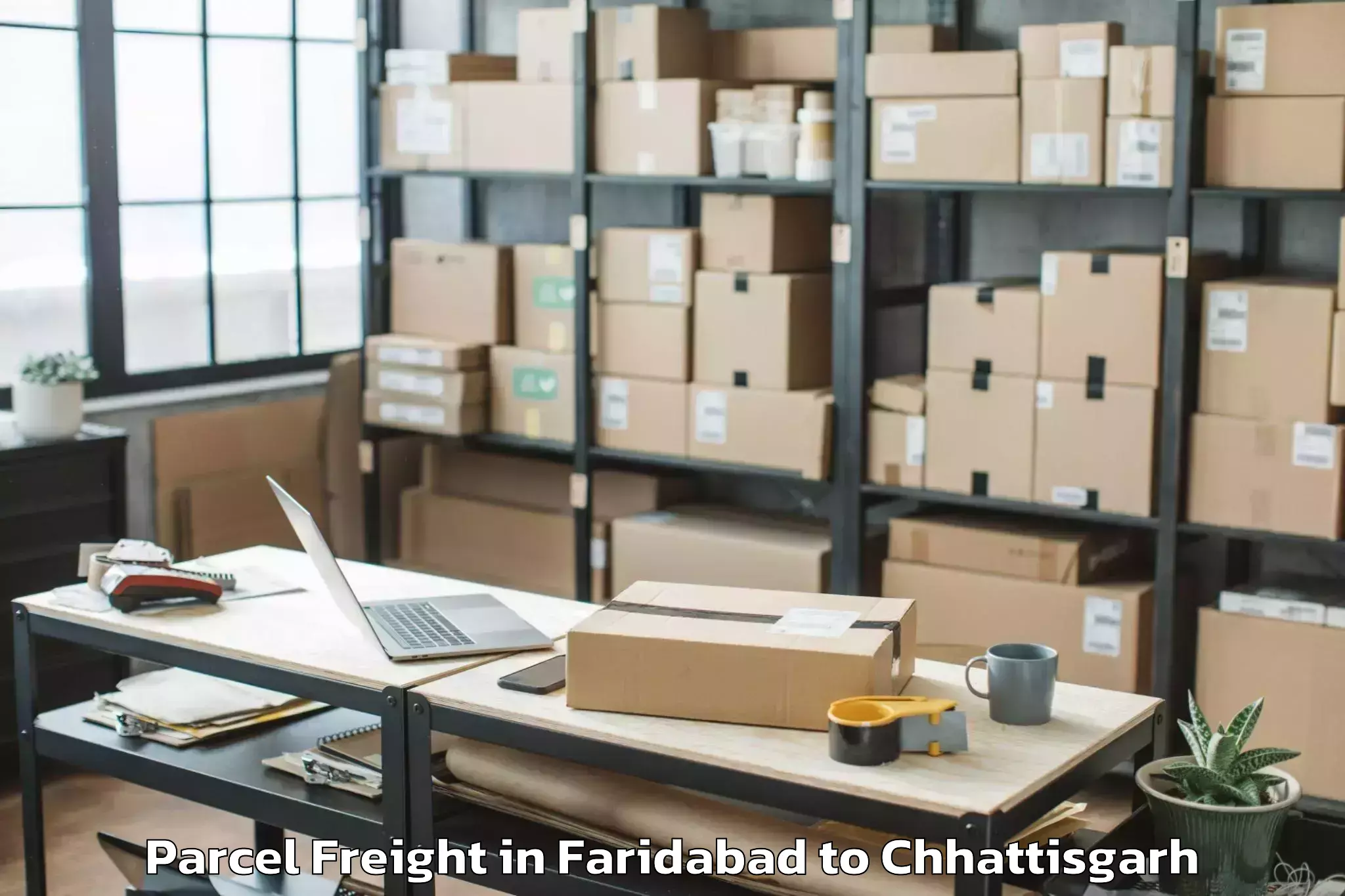 Expert Faridabad to Bijapur Chhattisgarh Parcel Freight